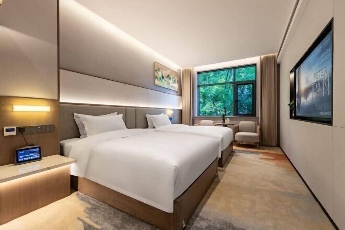 Quarto de hotel moderno com uma cama grande, mesas de cabeceira, televisão e janela com vista para árvores.