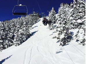 Un asiento de telesilla asciende por una ladera nevada, flanqueado por árboles.