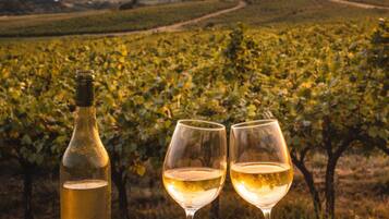 A wooden table with a bottle and two glasses of white wine, set against a vineyard backdrop.