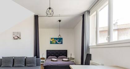 Studio Cosy - Hypercentre - Calme - 50m2 - Wifi