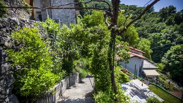 Panoramic Apartment | Garden view
