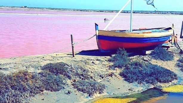 A boat on a beach with pink water and yellow vegetation.
