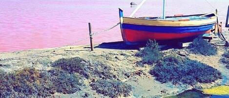 كراسي للتشمس