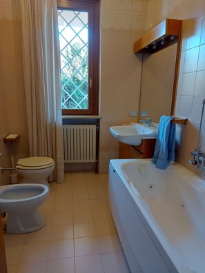 Shower, hair dryer, bidet, towels