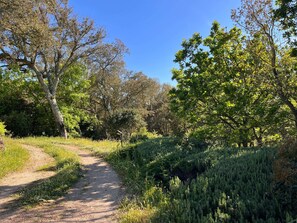 Property grounds - Country Villa l'Intrinata (Tempio Pausania)
