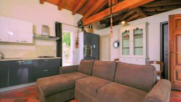 Fernseher, Kamin, Bücher