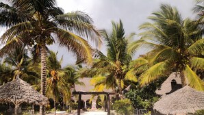Unclassified image, 3 of 78, button - Mambo Ocean Resort (Kiwengwa)