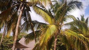 Unclassified image, 5 of 78, button - Mambo Ocean Resort (Kiwengwa)