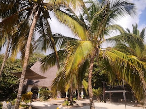 Exterior - Mambo Ocean Resort (Kiwengwa)