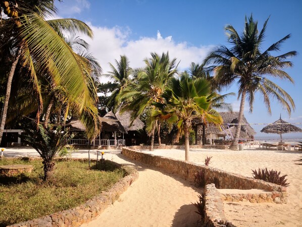 On the beach, white sand, sun loungers, beach umbrellas - Mambo Ocean Resort (Kiwengwa)