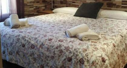 DELUXE 1 ROOM APARTMENT