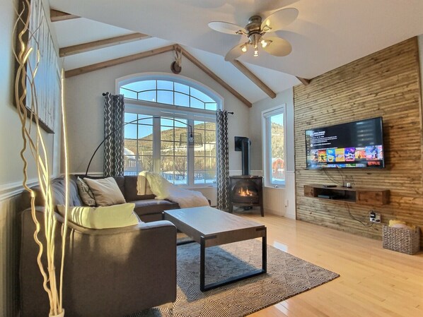 TV connectée, cheminée, lecteur de DVD