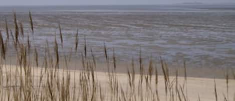 Tæt på stranden