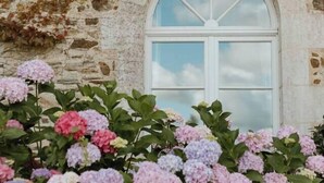 A stone building with a large arched window and a garden of hydrangeas in various colors. - Palais Toscan - Domaine d'exception (Sainte Foy)