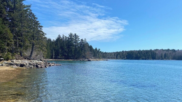 A clear lake with a rocky shoreline and dense trees in the background.