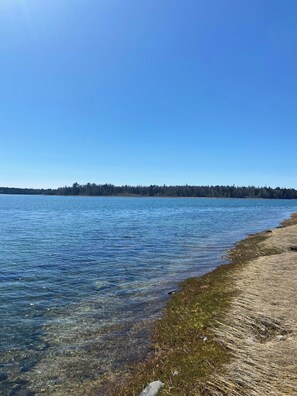 A clear view of a beach with calm water, a sandy shore, and a forest in the background.