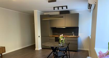 Romantic apartment with wood burning stove located in green, quiet neighbourhood