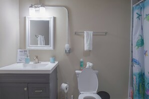 House (1 Bedroom) | Bathroom