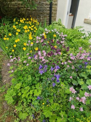 Exterior detail - Stunning Pet friendly Cottage in beautiful Weardale (Ireshopeburn)