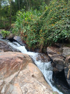 Una cascada natural rodeada de exuberante vegetación y rocas.