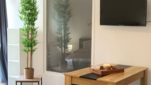 A modern hotel room with a wooden desk, two potted plants, a flat-screen TV, and a large window with a view of a bed.