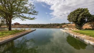 Una piscina al aire libre (de 07:00 a 23:00), sombrillas, tumbonas