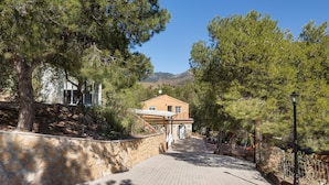 A paved pathway leading to a building with a stone wall on one side and trees on the other.