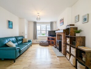 Smart TV, fireplace, books