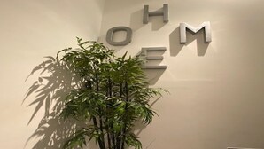 Une plante en pot placée devant un mur sur lequel sont inscrites les lettres « H O M » dans une police de caractères moderne.