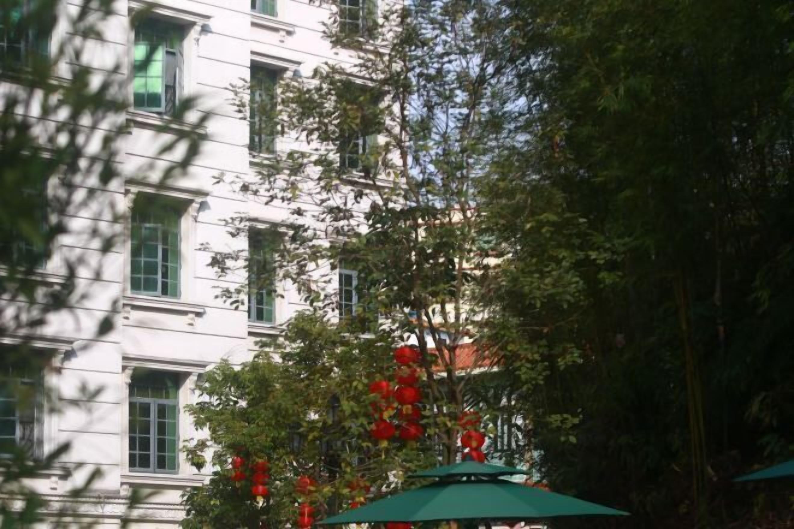 A building with multiple windows and a tree with red decorations.