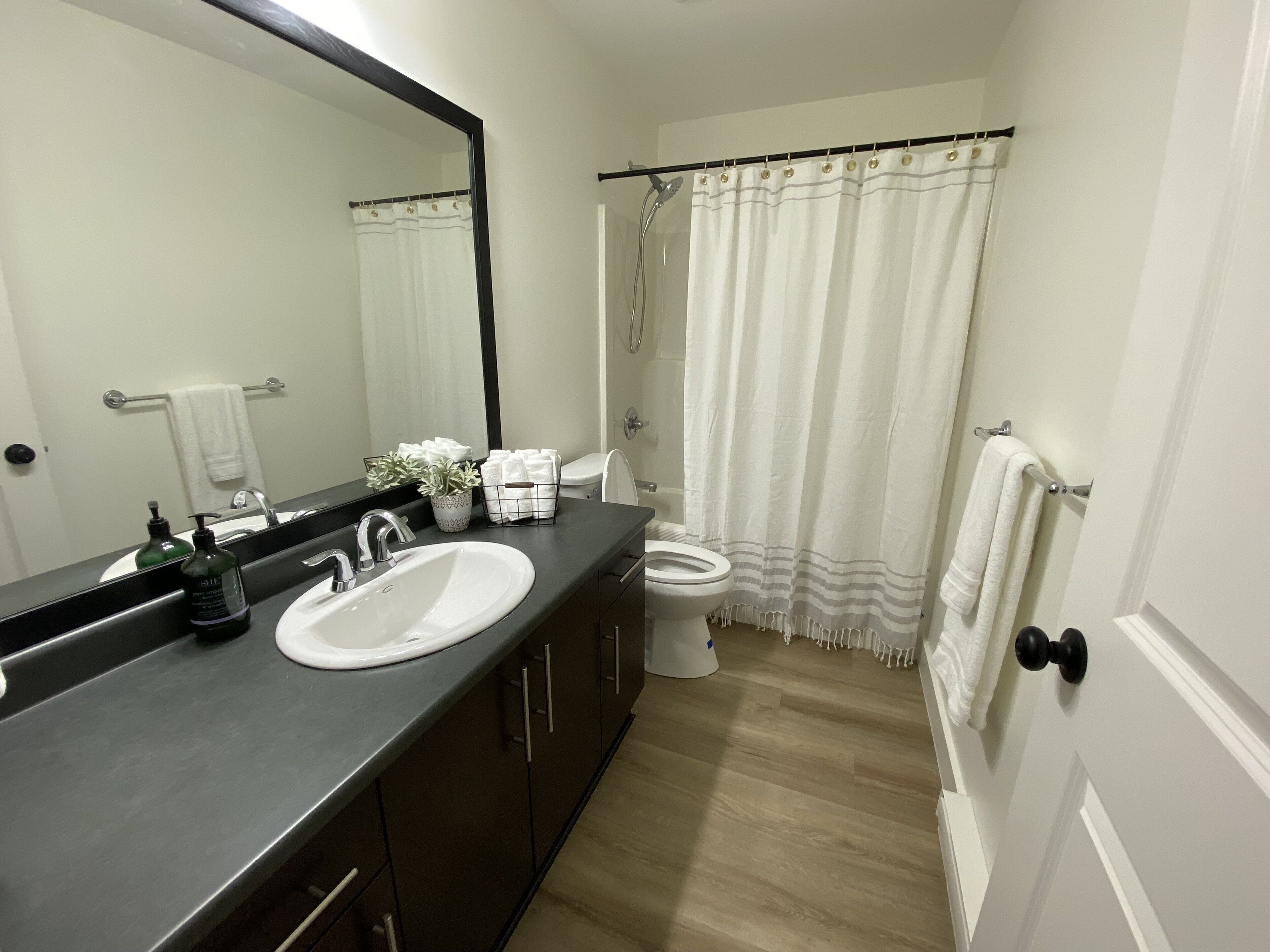 Hair dryer, towels, soap, shampoo
