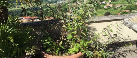 Panoramic Penthouse | Terrace/patio