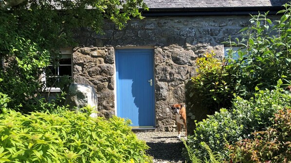 Detalle exterior