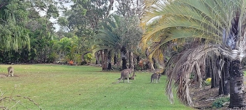 Roo Or 2 on Streeter