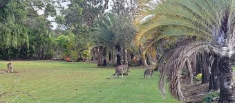 Roo Or 2 on Streeter