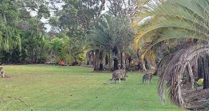 Roo Or 2 on Streeter