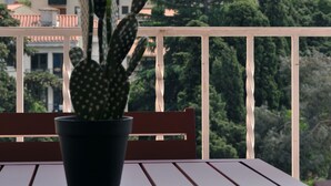 A cactus plant on a balcony with a view of a hillside and buildings in the background. - Villa Ibanova 3: Studio, private parking (Collioure)