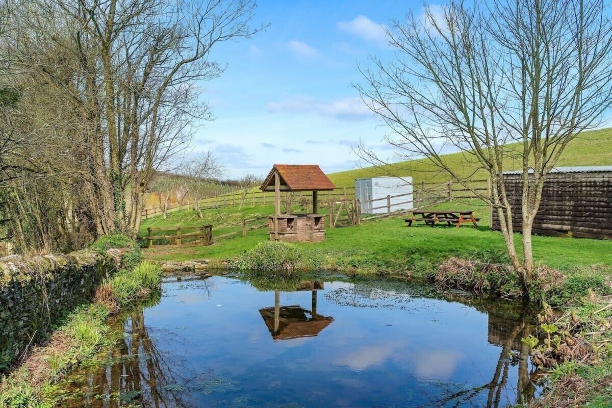 Une structure rustique en bois, dotée d’un toit en pente, d’une table de pique-nique et d’un petit étang, située dans un cadre rural.