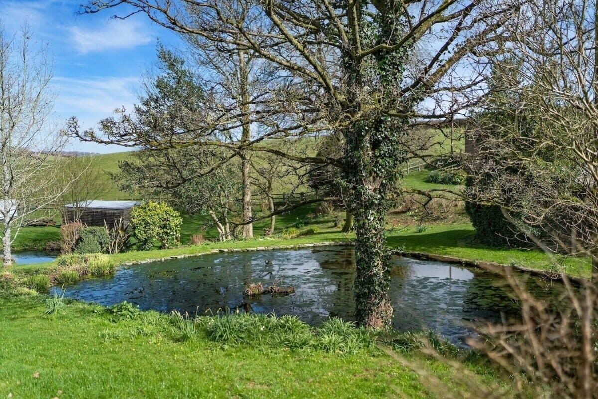 Un étang paisible, bordé d’une végétation luxuriante et d’arbres.
