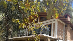 A modern house with a stone foundation, a wooden deck, and a large tree in the foreground. - Cabañas los Pirineos (Mazamitla)