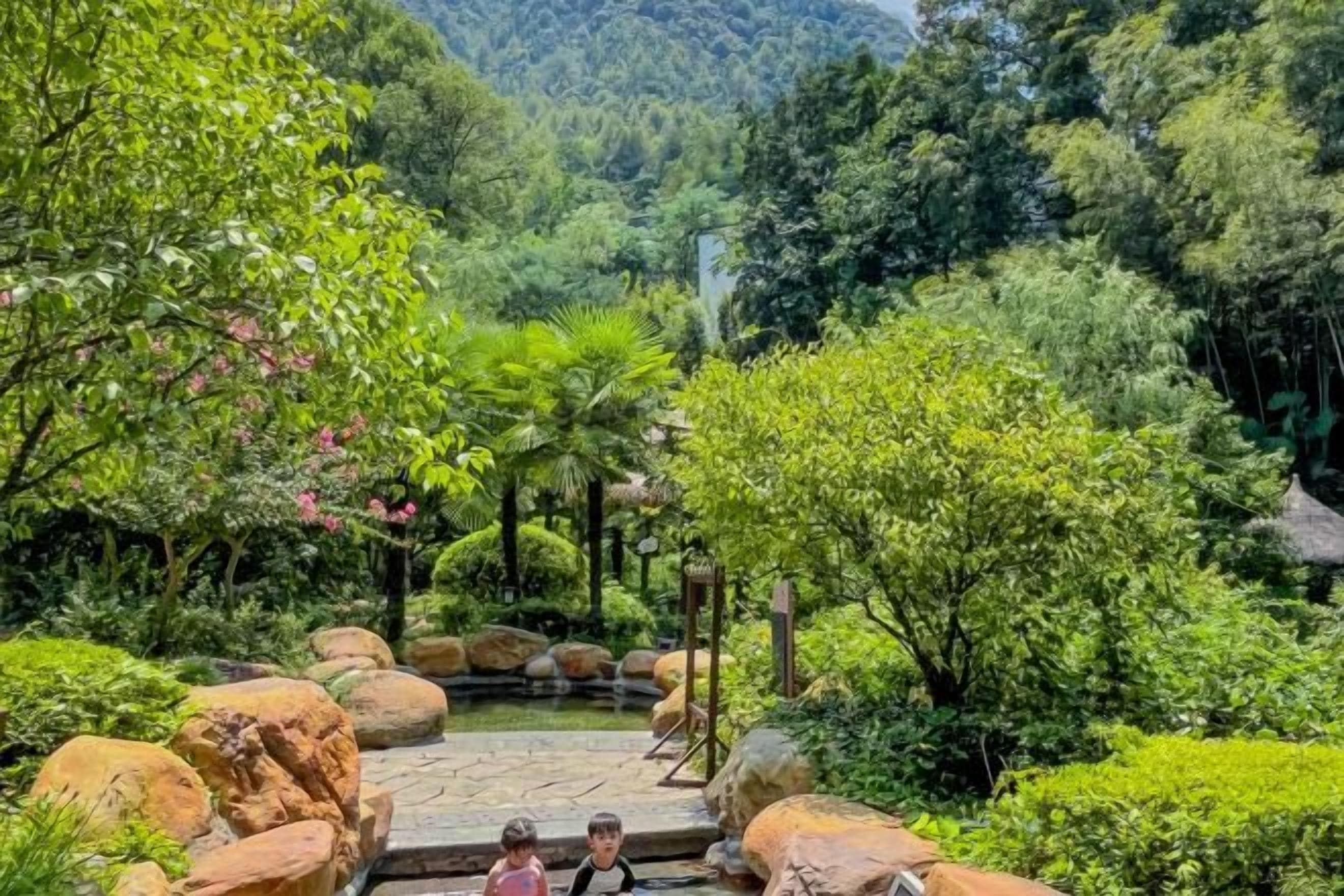 A garden with a pond, large rocks, and various plants.
