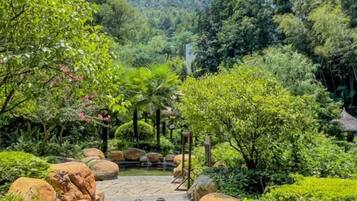 A garden with a pond, large rocks, and various plants.