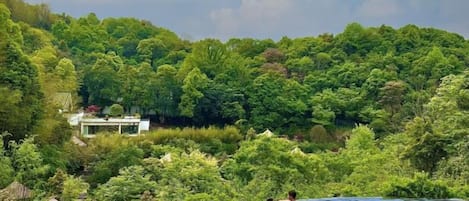 A person in a hot tub with a view of a lush forest and a building in the background.
