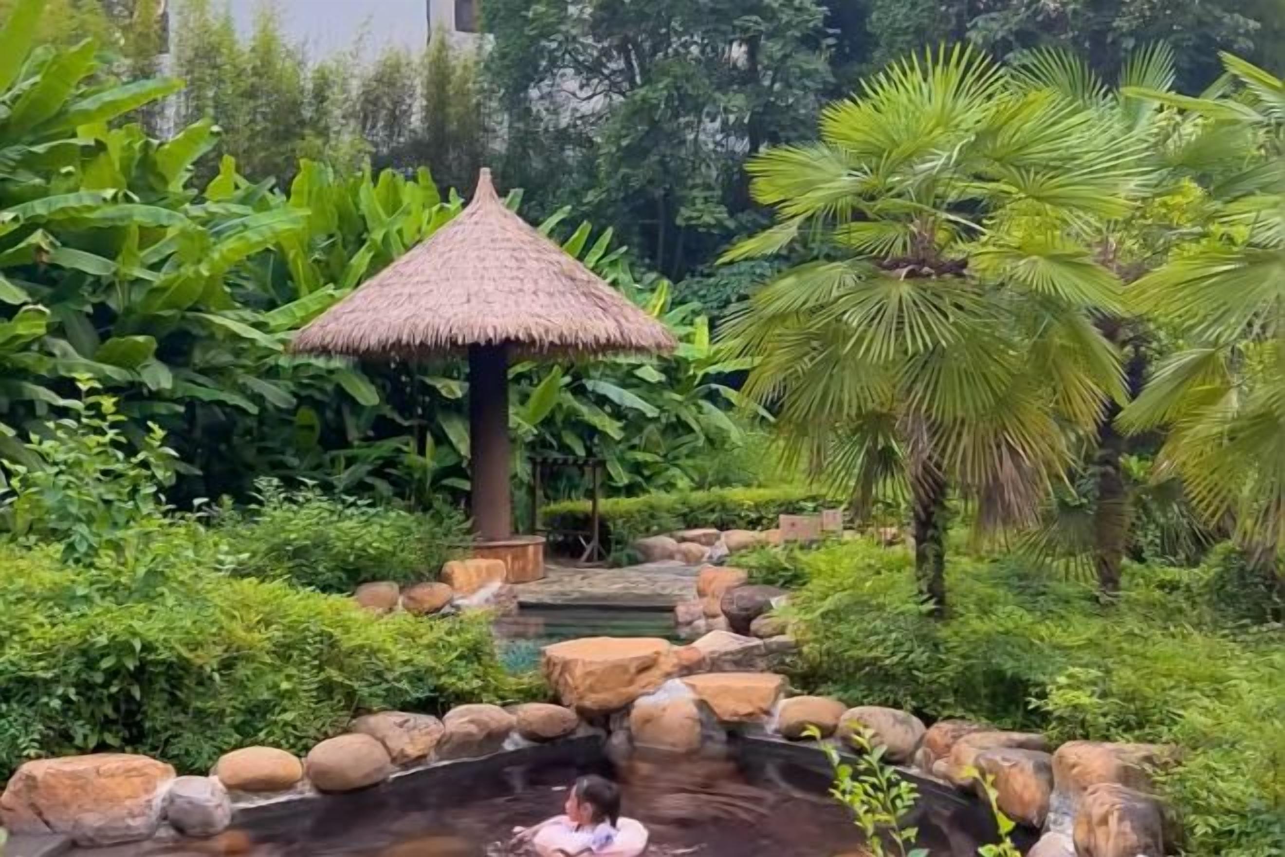 A naturalistic garden with a water feature, a thatched-roof structure, and lush greenery.