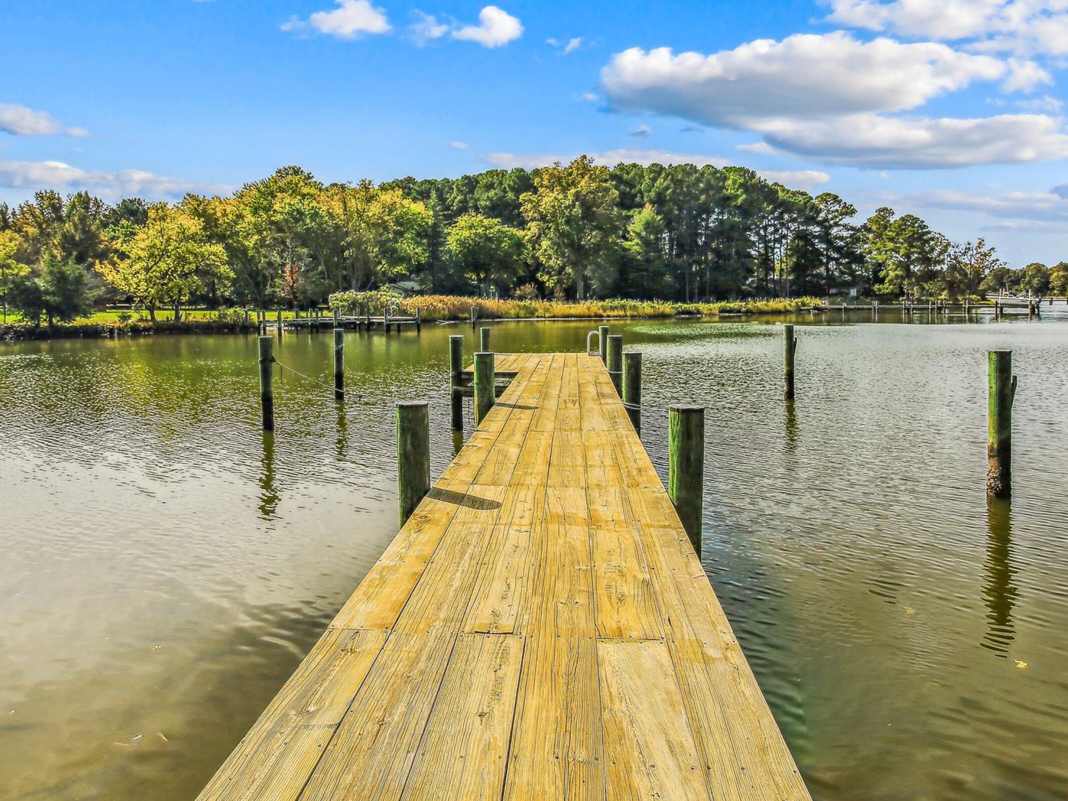 Minutes from Downtown Easton and St. Michaels | Kayaks | Stunning Sunsets