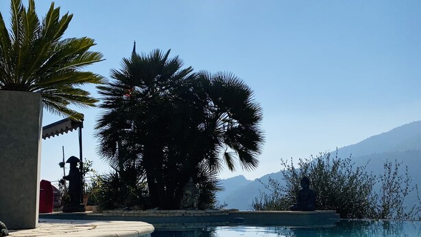 A clear swimming pool with a stone edge, surrounded by palm trees and a Buddha statue. - Charming Villa (Saint-Martin-du-Var)