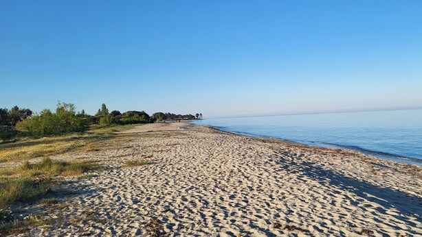 A sandy beach with a clear sky and calm water. - Residence by the sea with private beach access, surrounded by greenery.  (Ghisonaccia)