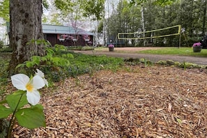 Property grounds - Hearts Home - Three Bedroom Cottage, Sleeps 4 (Kawartha Lakes)