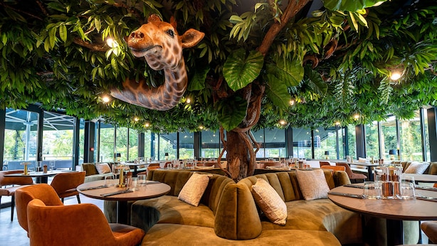 A restaurant with round tables, orange chairs, and a large tree with a giraffe head sculpture. - Amicitia (L'Isle-Adam)
