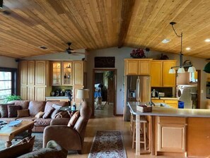 Smart TV, fireplace, DVD player, books